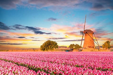 Dutch Daytrips