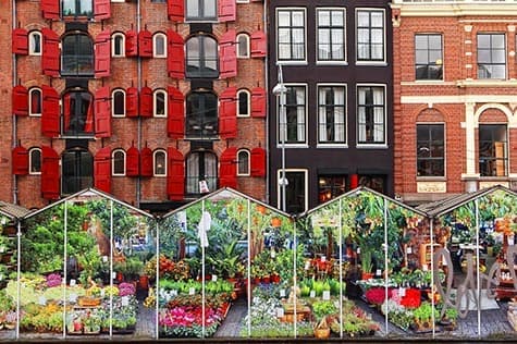 The Bloemenmarkt