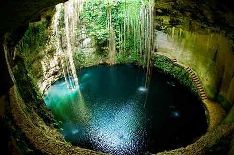 Dive into a Lost World