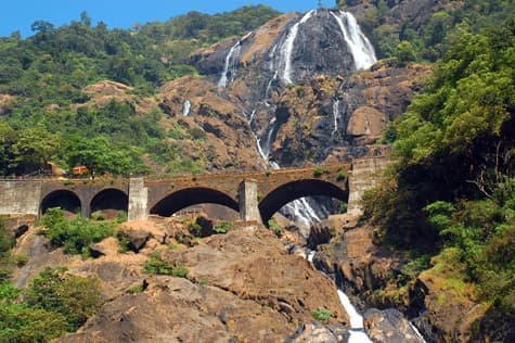 Dunk in the Dudhsagar Waterfalls