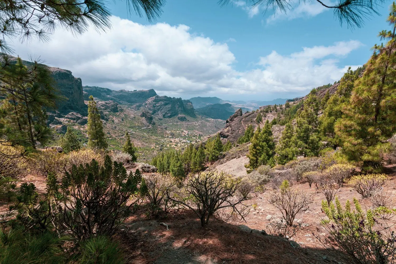 Things to do in Gran Canaria