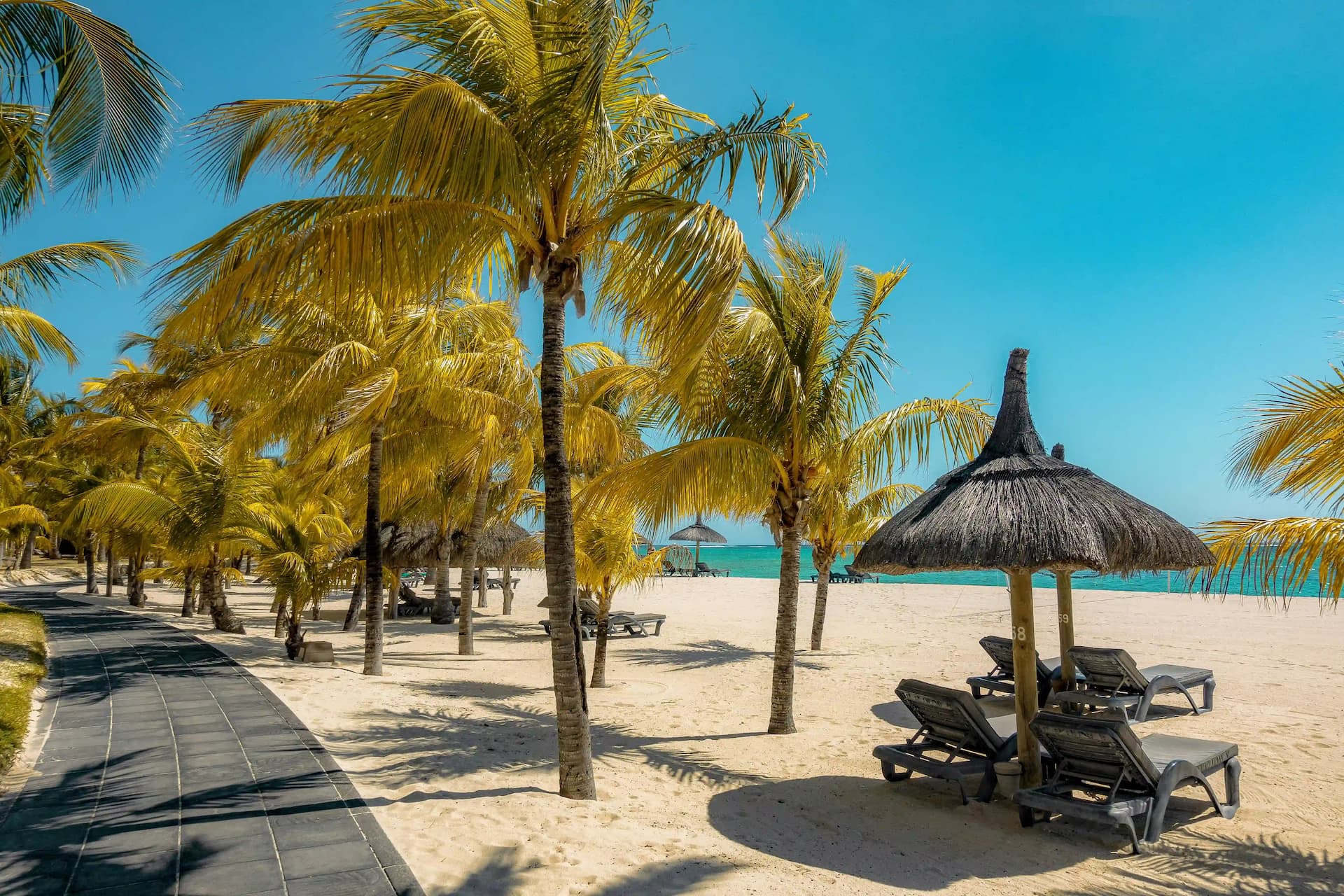 <h3 style="text-align: center;"><strong>Luxury Summer Holidays</strong></h3>