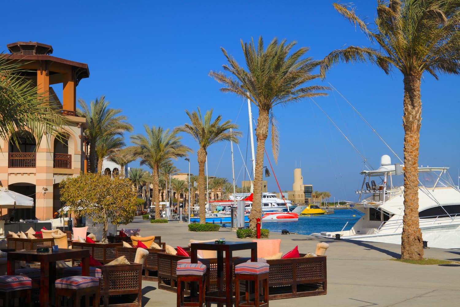 Dine at Port Ghalib Marina