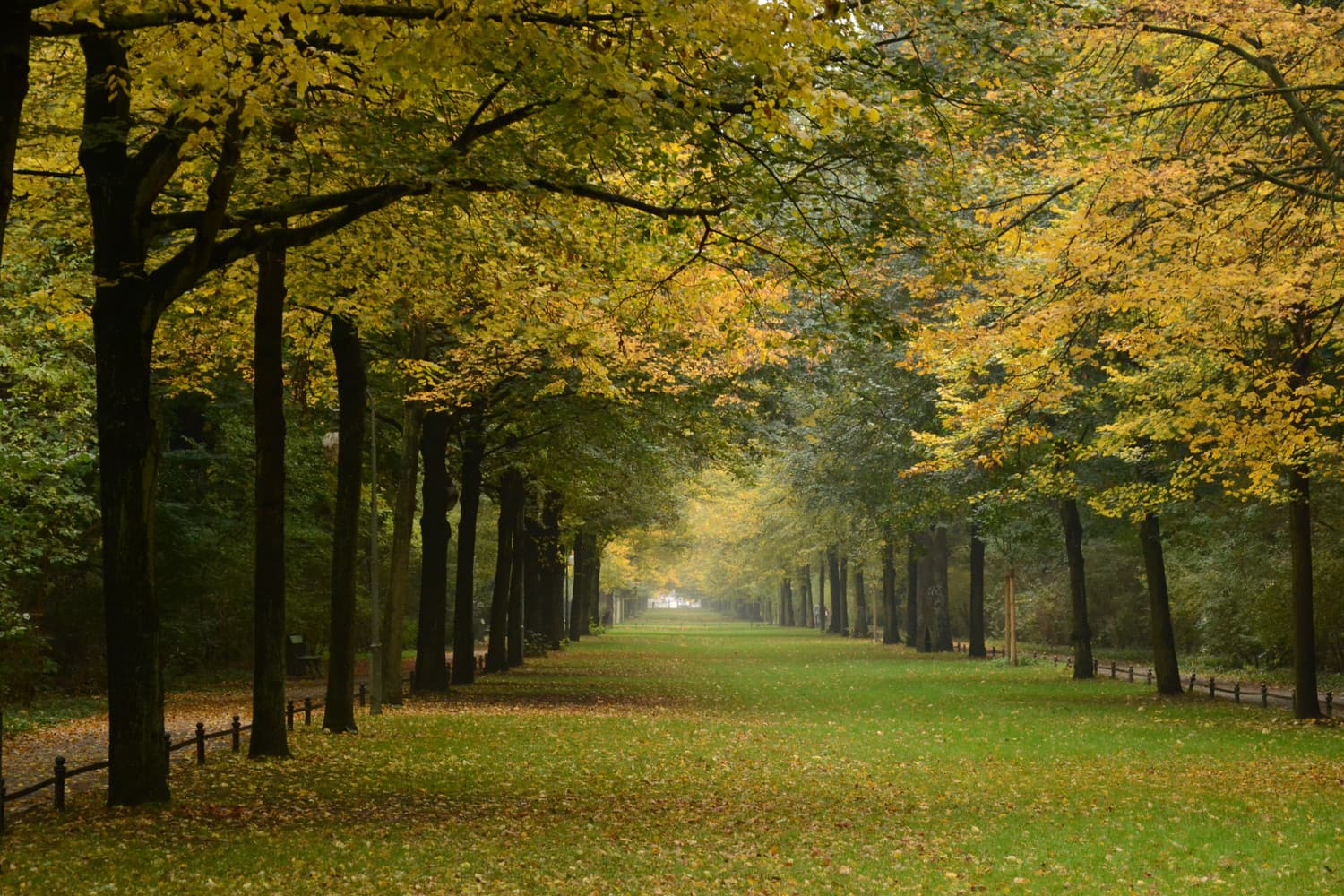 Stroll in the Tiergarten