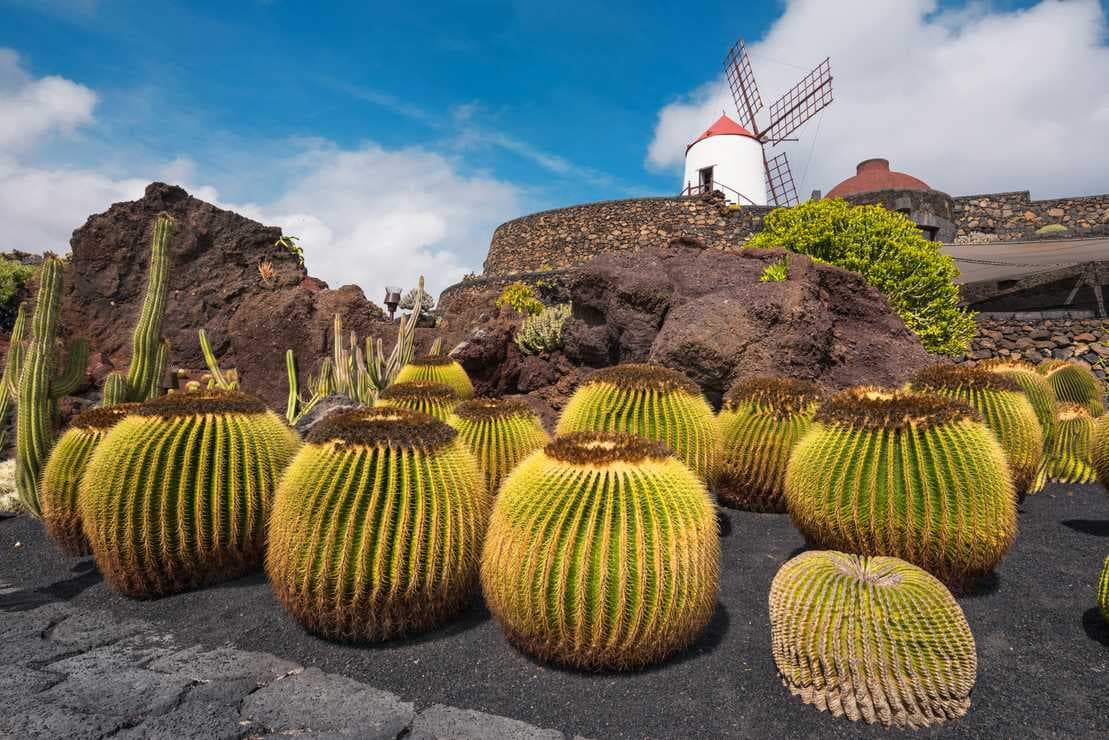 Things to do in Lanzarote