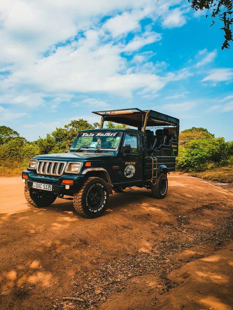 Thrilling Jeep Safari