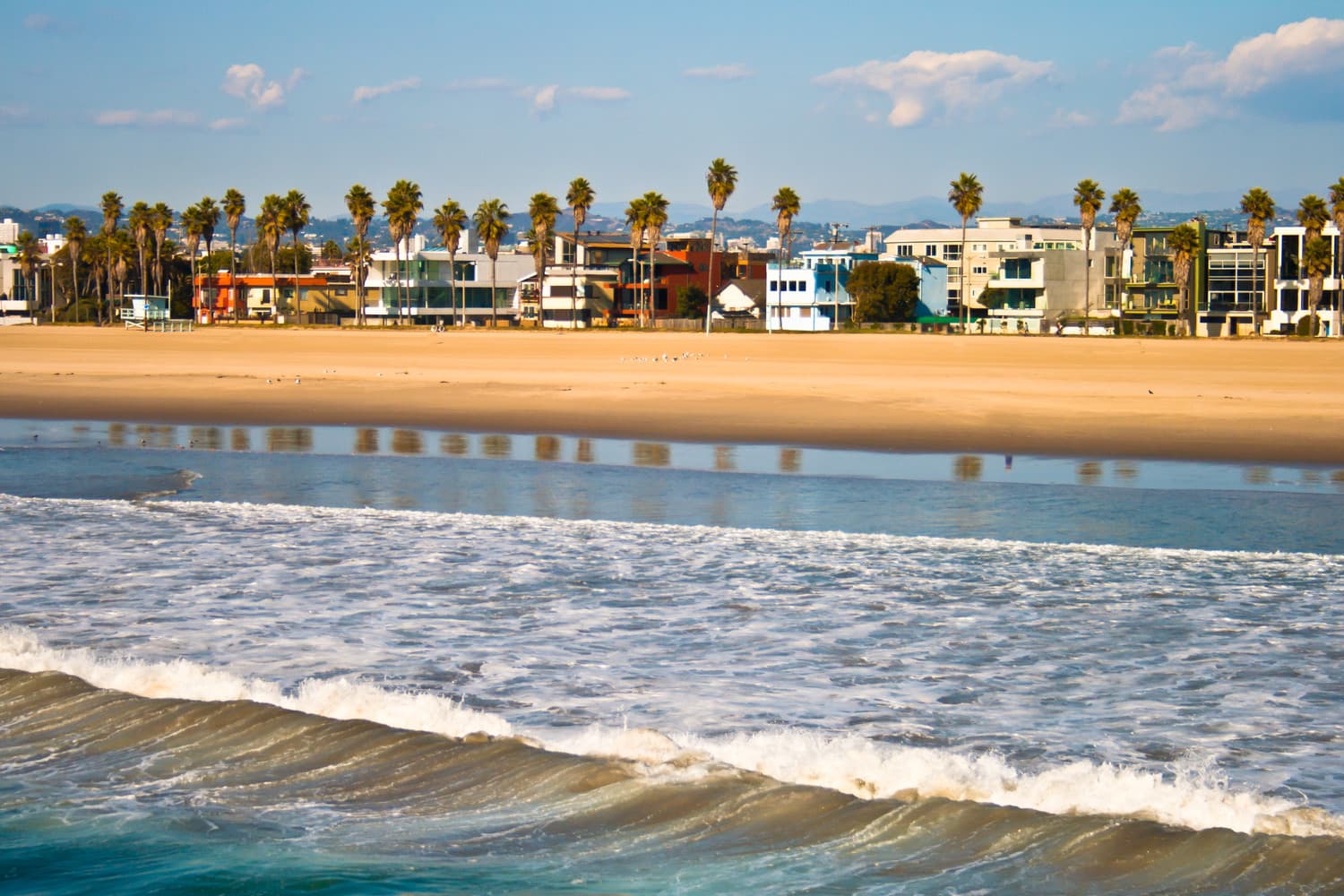 Venice Beach