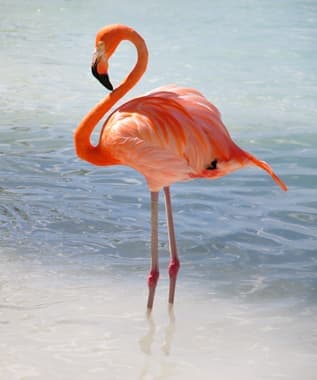 Marineland Catalunya